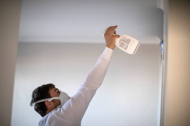 Best Mold Cleaning Services  in Little Falls, NY